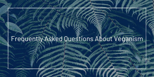 20+ Frequently asked questions about vegan - Vegan Dukan
