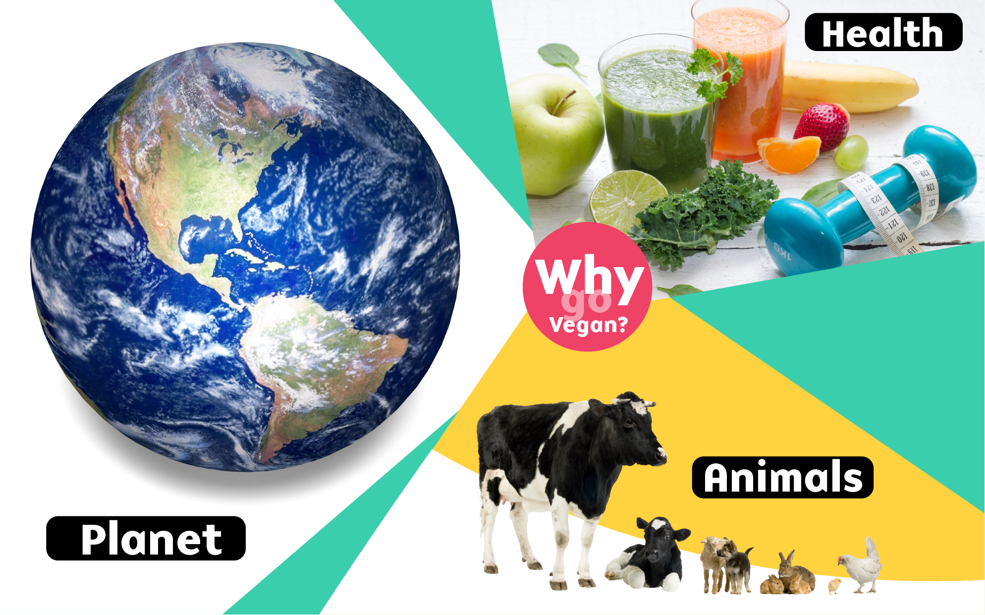 Why Go Vegan? Animals, Earth & Health