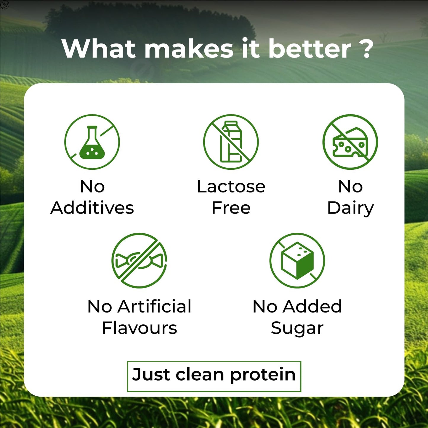 Vlado Himalayan Organics Plant-Based Protein Powder | 100% Organic Pea Protein | 28g Protein, 5g BCAA per Serving | Clean, Vegan, Fast-Absorbing | No Bloating, Easy to Digest | Unflavoured – 500g