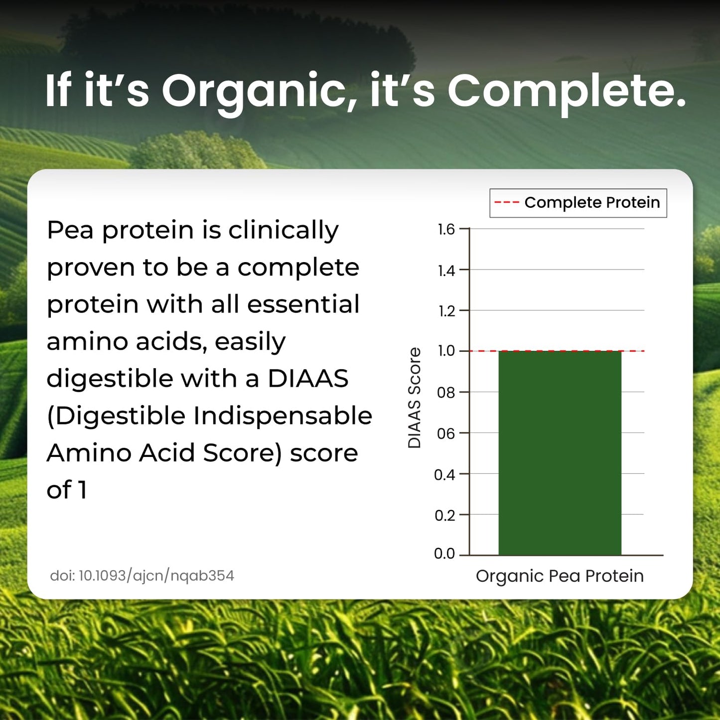 Vlado Himalayan Organics Plant-Based Protein Powder | 100% Organic Pea Protein | 28g Protein, 5g BCAA per Serving | Clean, Vegan, Fast-Absorbing | No Bloating, Easy to Digest | Unflavoured – 500g