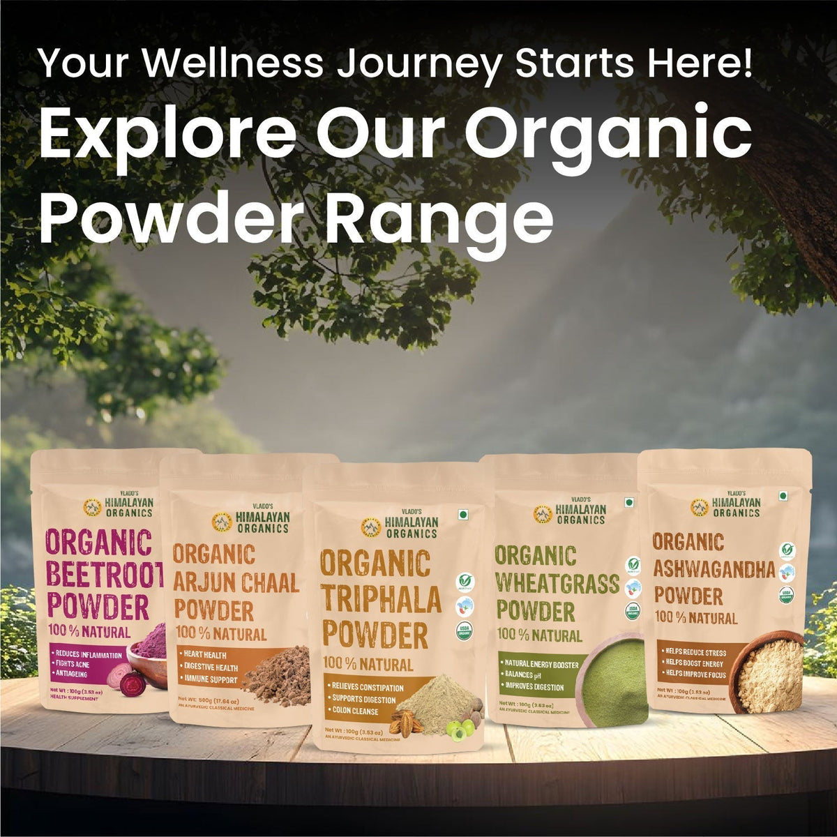 Vlado's Himalayan Organics Shatavari Powder 100 g – Pure Organic Supplement