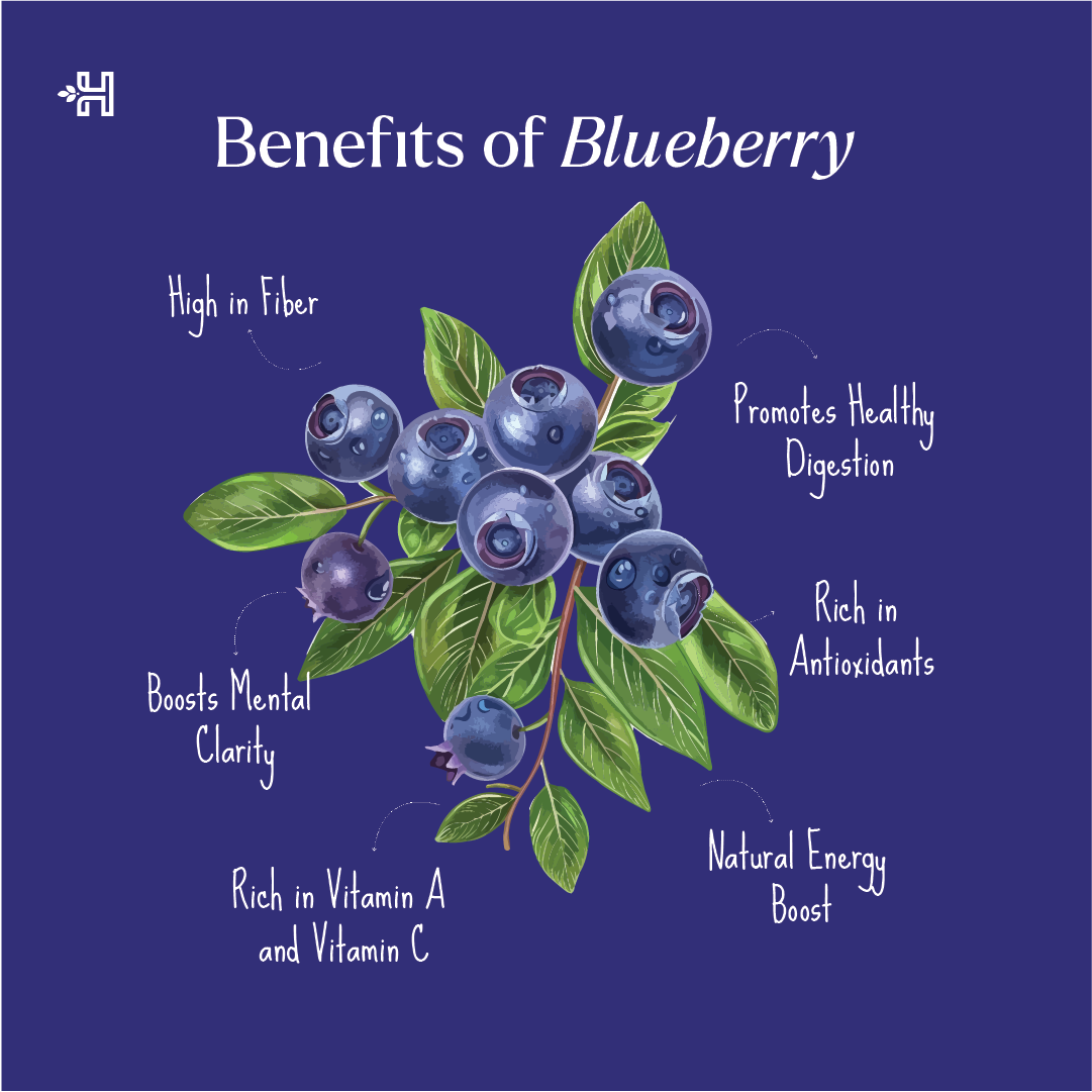 Health Horizons Dried Blueberry 150g