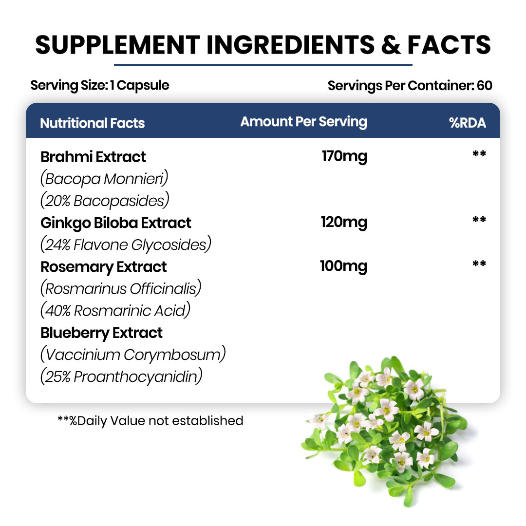 Vlado's Himalayan Organics Plant-Based Brain Support Supplement with Ginkgo Biloba & Brahmi – 60 Veg Capsules