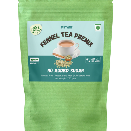 No Added Sugar Tea Premix - Fennel (Saunf) 750g