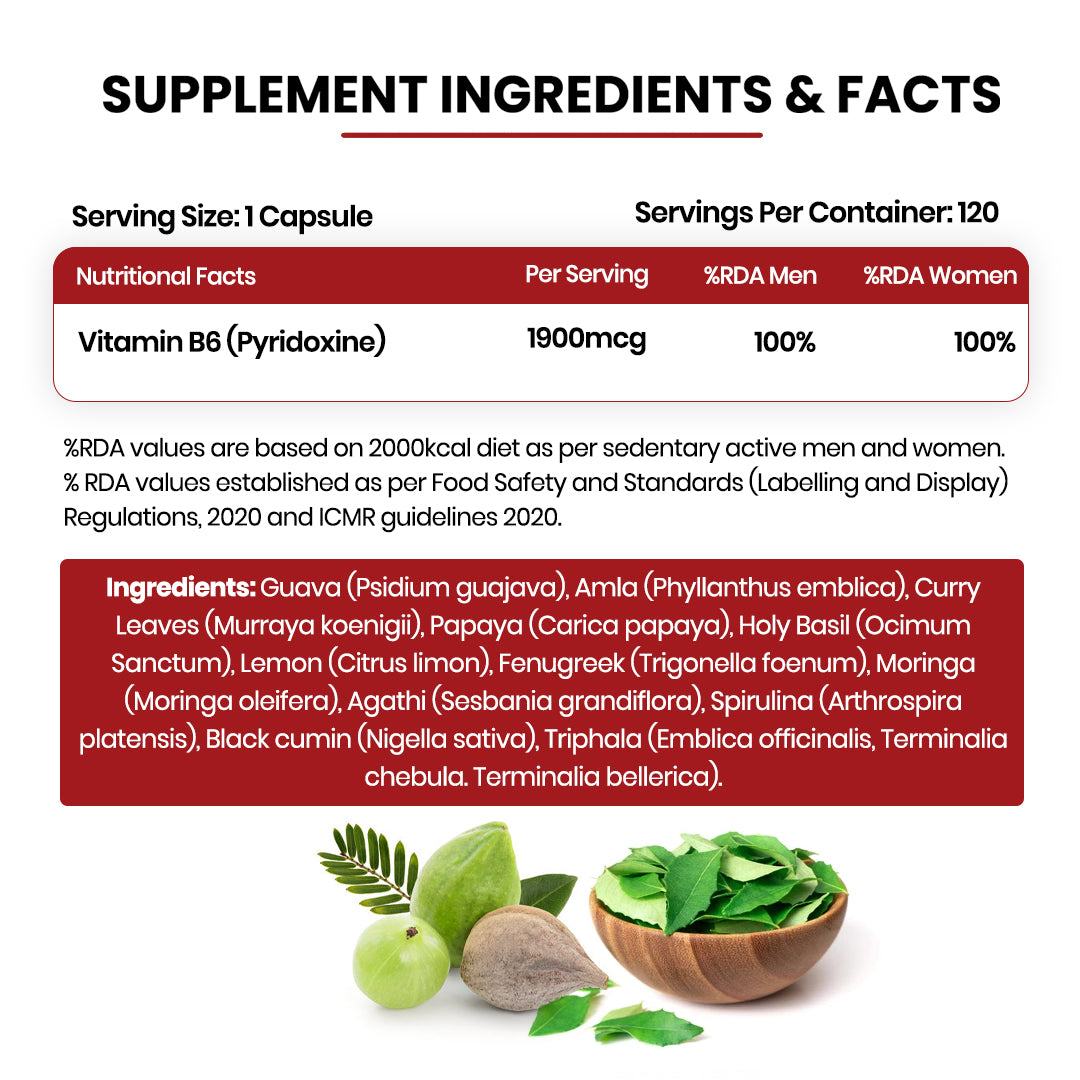 Vlado's Himalayan Organics Plant-Based Vitamin B6 120 Capsules