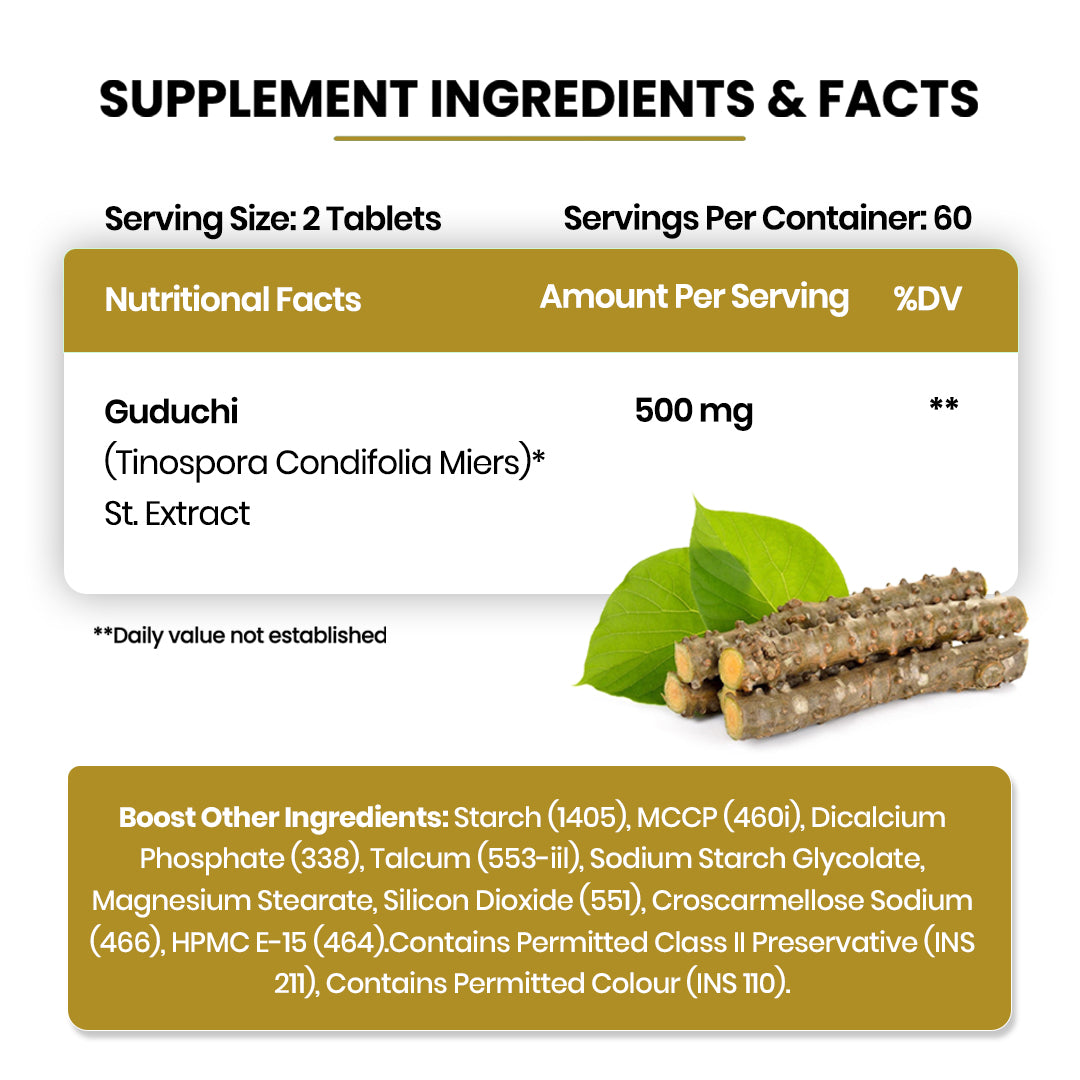 Vlado's Himalayan Organics Giloy Extract | 120 Veg Tablets