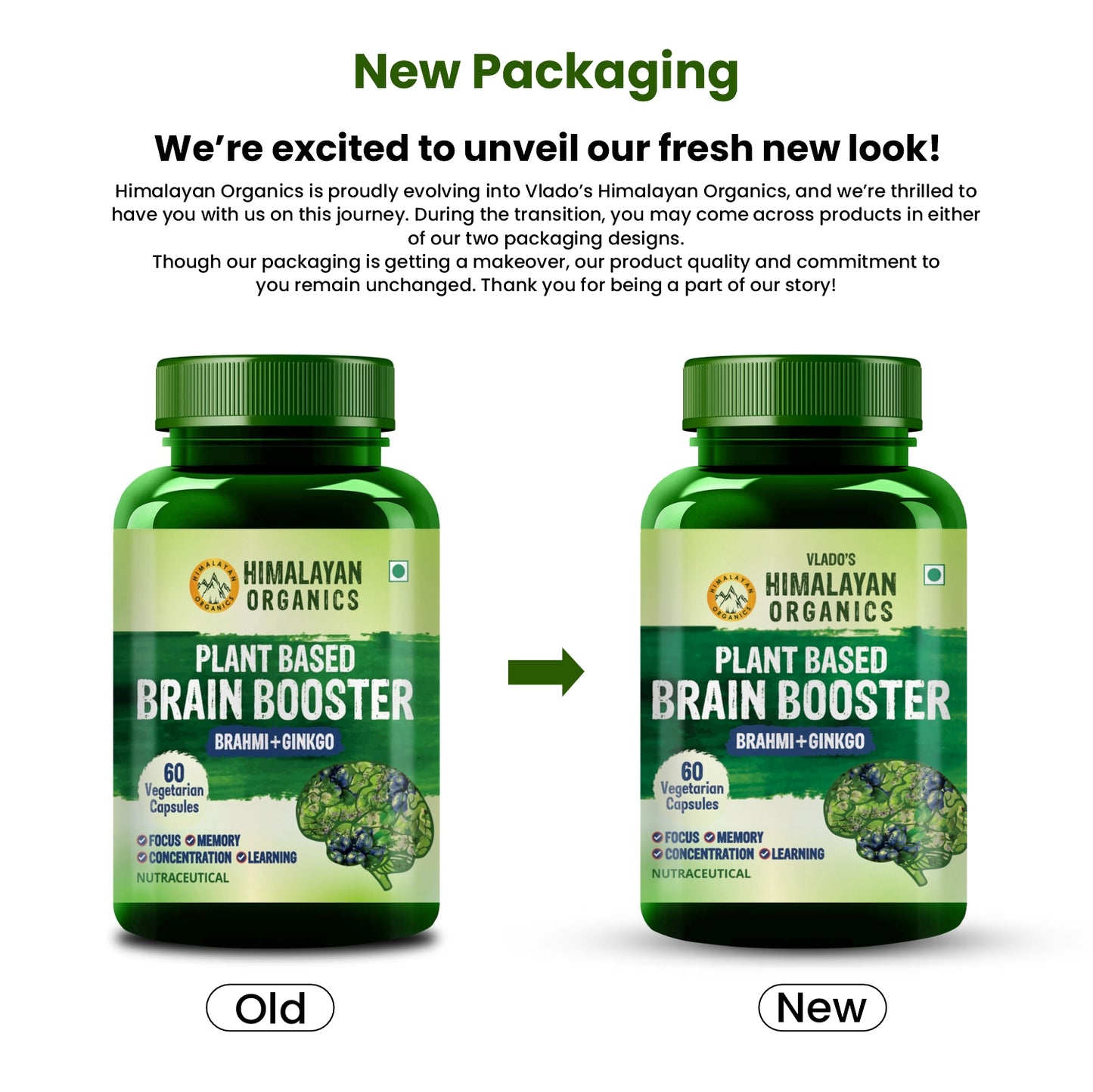 Vlado's Himalayan Organics Plant Based Brain Booster Supplement with Ginkgo Biloba & Brahmi | Boost concentration & Memory | 60 Veg Capsules