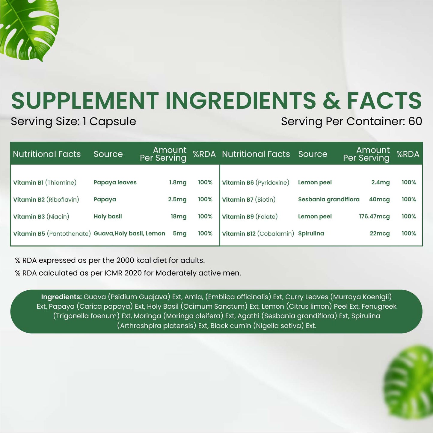 Vlado's Himalayan Organics Plant-Based B-Complex with B12, B1, B2, B3, B5, B6, B9 & Biotin – 60 Veg Capsules