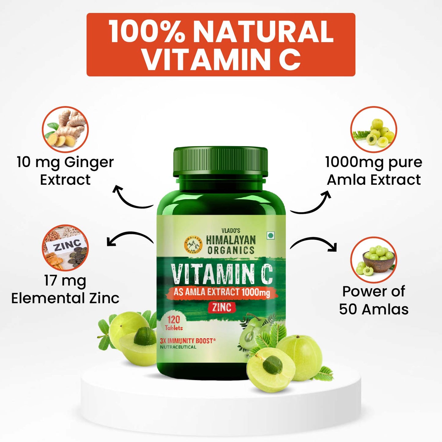 Vlado's Himalayan Organics Vitamin C Supplement with Amla Extract | Plant-Based Formula | 120 Veg Tablets