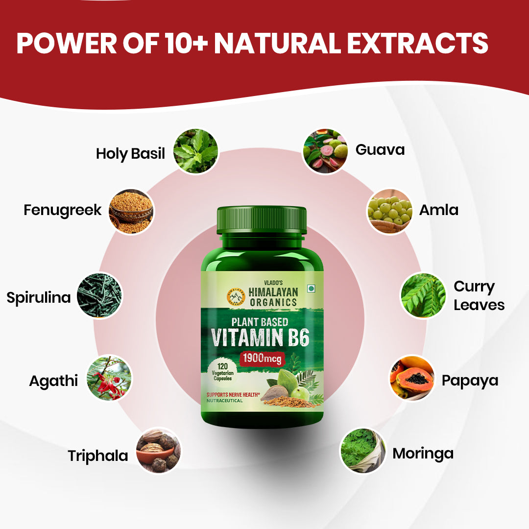 Vlado's Himalayan Organics Plant-Based Vitamin B6 120 Capsules