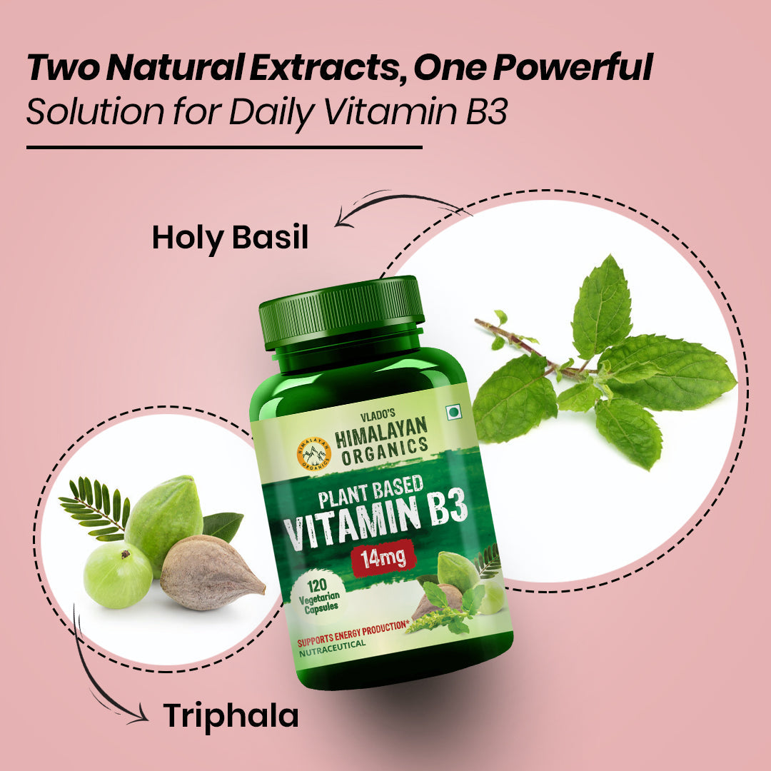 Vlado's Himalayan Organics Plant-Based Vitamin B3 | Supports Healthy Skin and Heart 120 Capsules