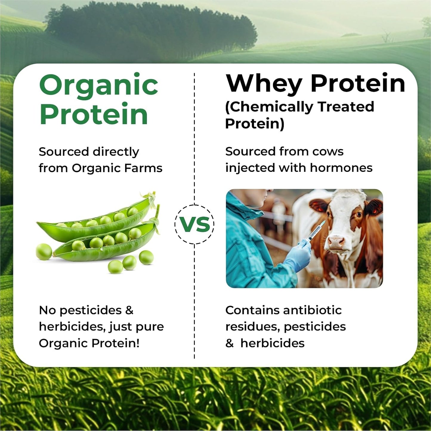 Vlado Himalayan Organics Plant-Based Protein Powder | 100% Organic Pea Protein | 28g Protein, 5g BCAA per Serving | Clean, Vegan, Fast-Absorbing | No Bloating, Easy to Digest | Unflavoured – 500g