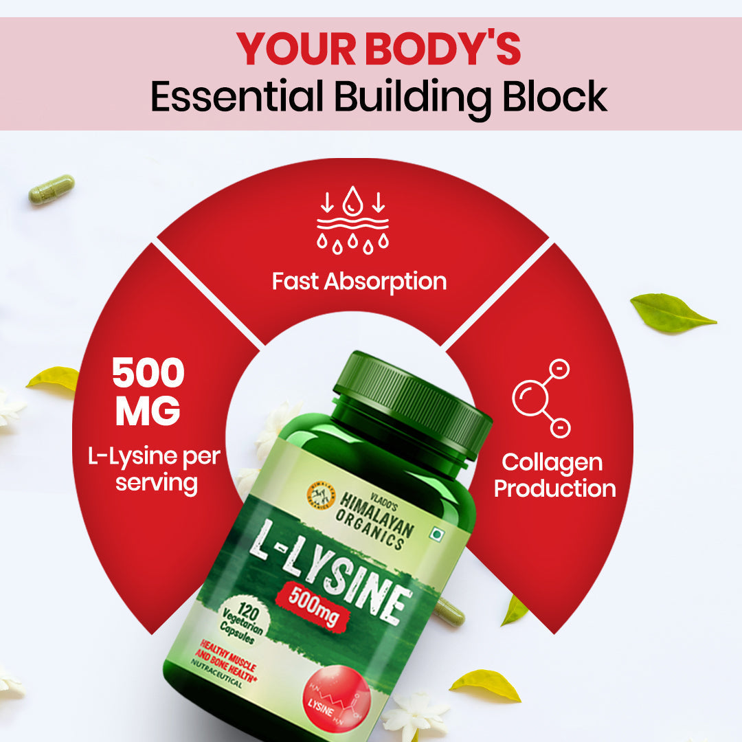 Vlado’s Himalayan Organics L-Lysine 500mg Essential Amino Acid | 120 Veg Capsules