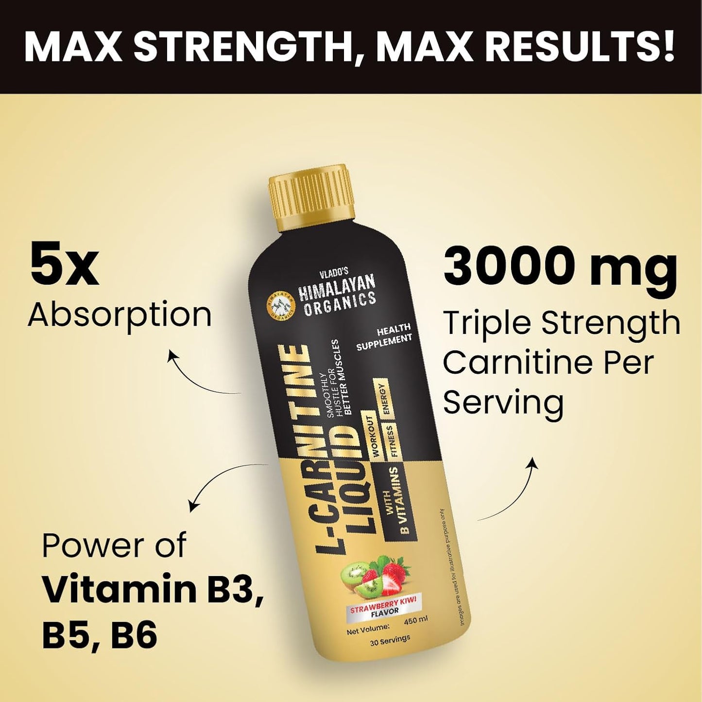 Vlado's Himalayan Organics L-Carnitine Liquid 3000 mg with Vitamin B3, B5, B6 | Pre, Intra & Post Workout Supplement | 5X Strength | Double Strength Formula | For Men & Women | 30 Servings | Strawberry Flavor - 450 ML