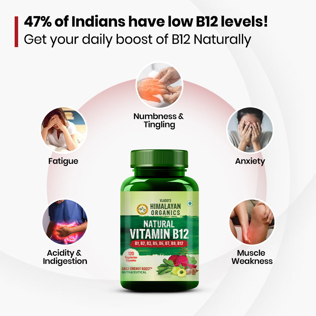 Vlado's Himalayan Organics Natural Vitamin B12 with B1, B2, B3, B5, B6, B7, B9 & Moringa | Plant-Based Formula | 120 Vegetarian Capsules