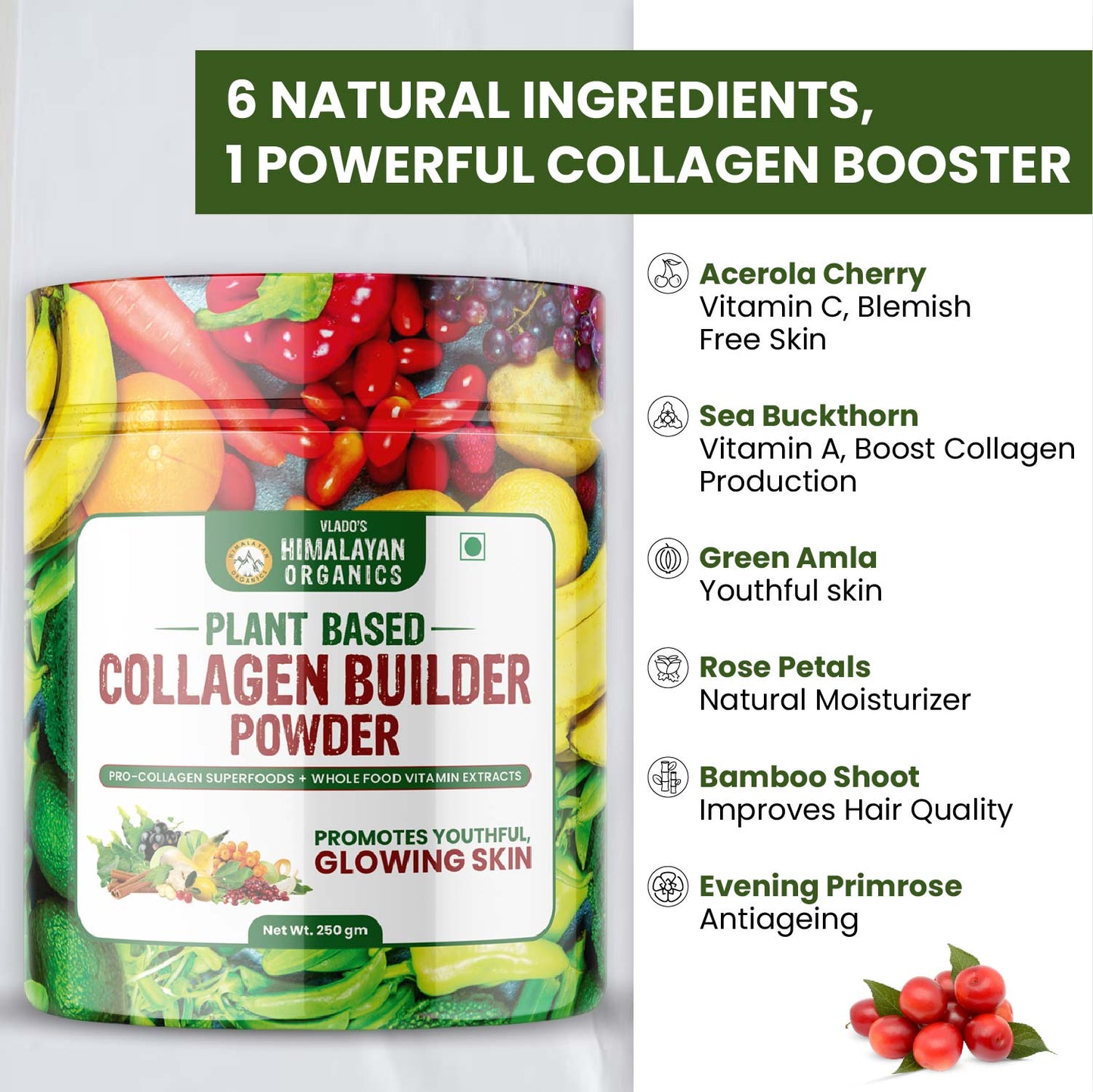 Vlado's Himalayan Organics Plant Based Collagen Builder Powder – 250gm