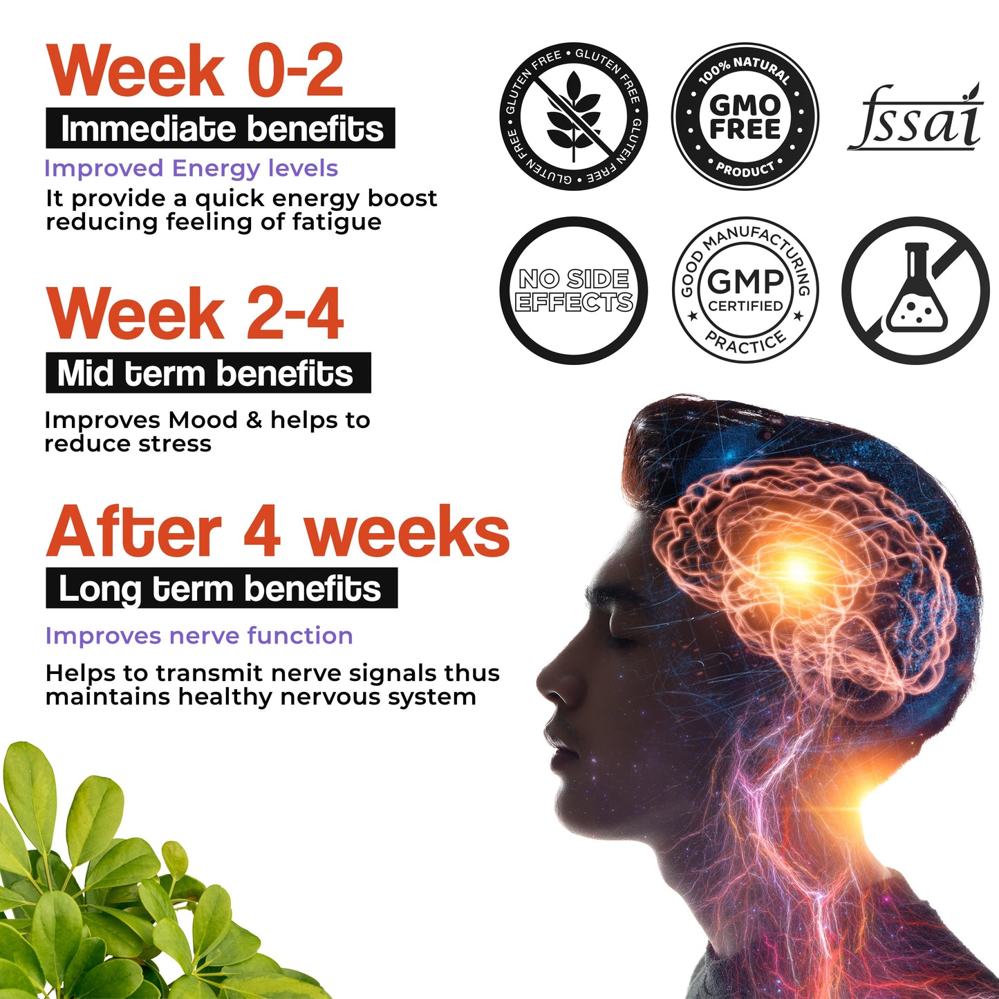 Health Veda Organics Plant Based B-Complex - 120 Veg Tablets