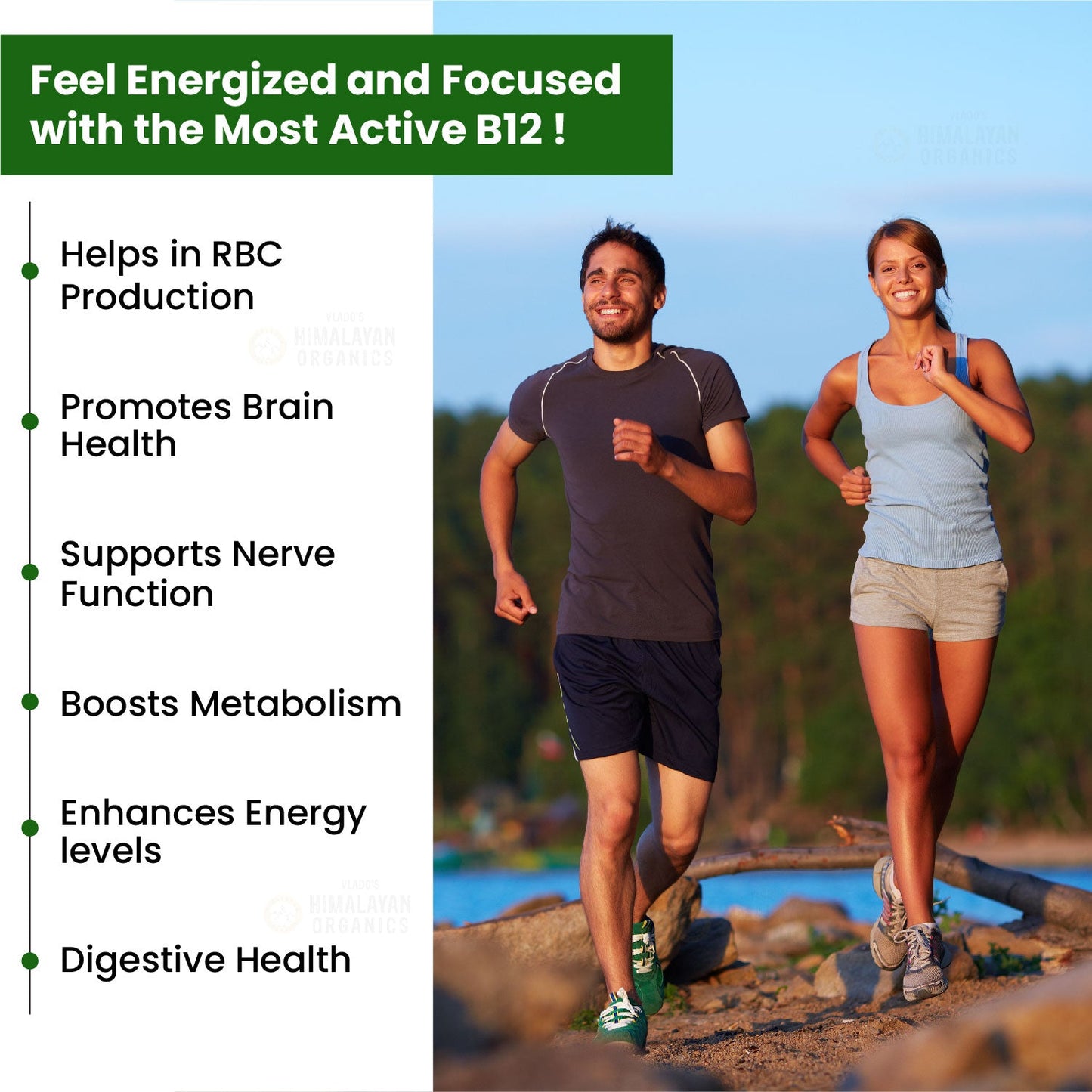 Vlado's Himalayan Organics Vitamin B12 Supplement 500 mcg | Methylcobalamin | Plant-Based | 60 Veg Tablets
