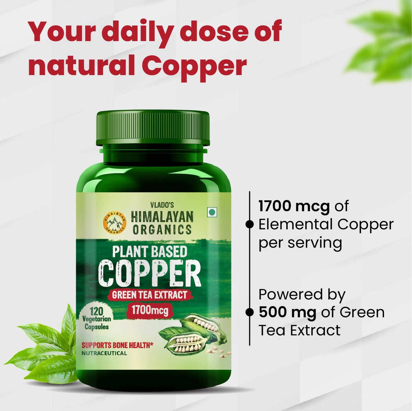 Vlado’s Himalayan Organics Plant-Based Copper 1700mcg Supplement with Green Tea Extract | 120 Veg Capsules
