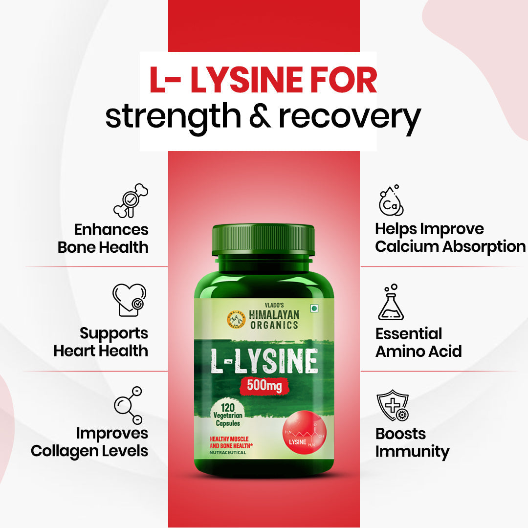 Vlado’s Himalayan Organics L-Lysine 500mg Essential Amino Acid | 120 Veg Capsules