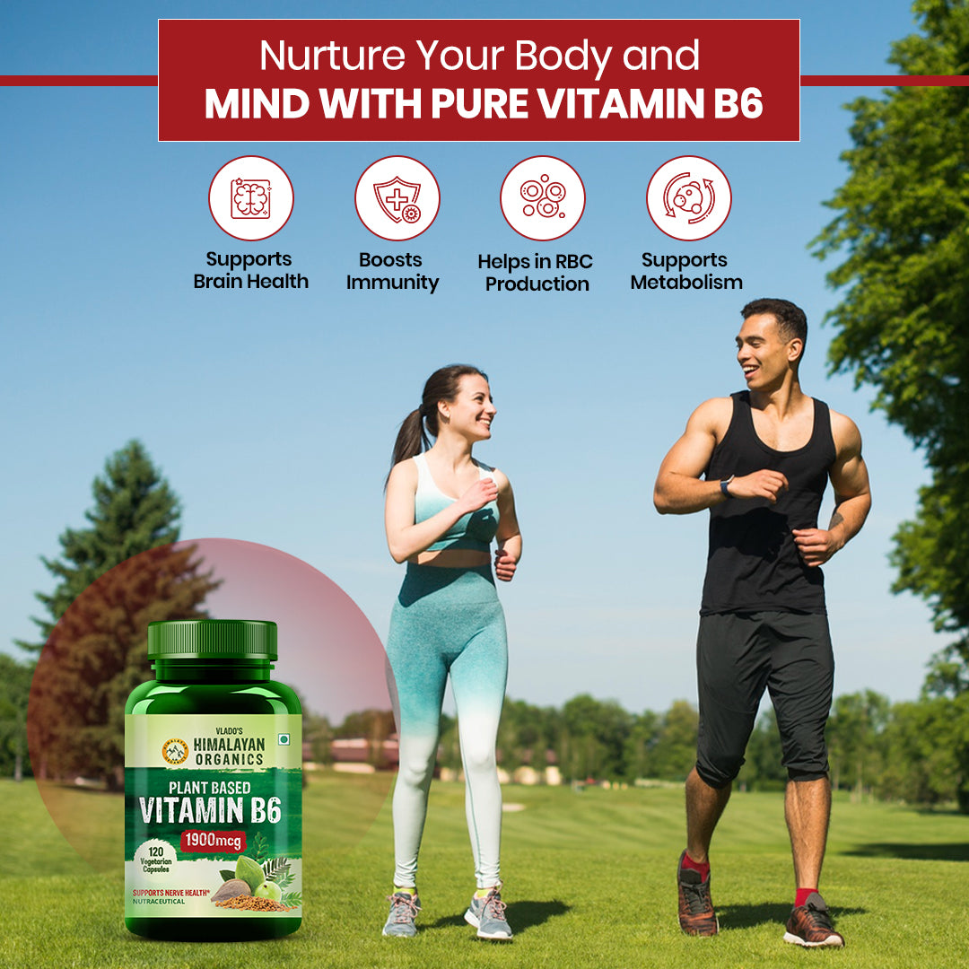 Vlado's Himalayan Organics Plant-Based Vitamin B6 120 Capsules
