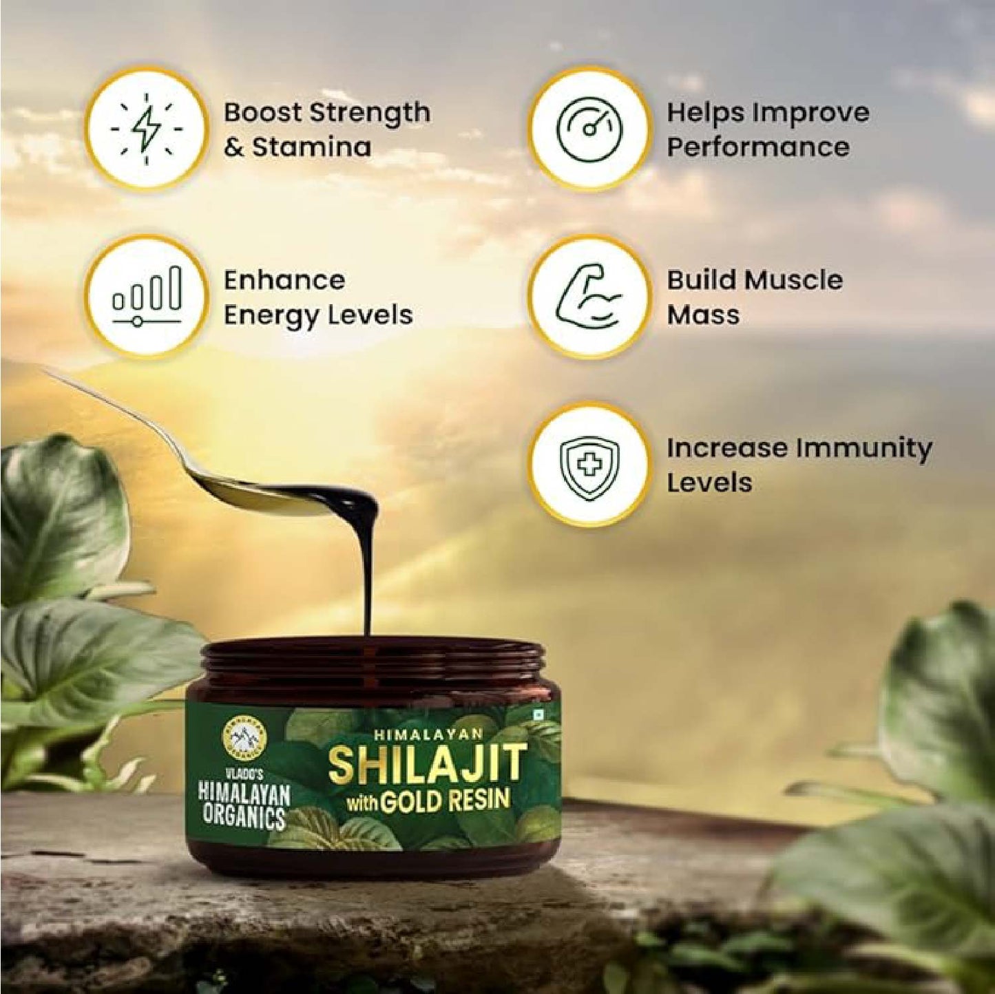 Vlado’s Himalayan Organics Shilajit Gold Resin with 24K Gold | Ayurvedic | 25g