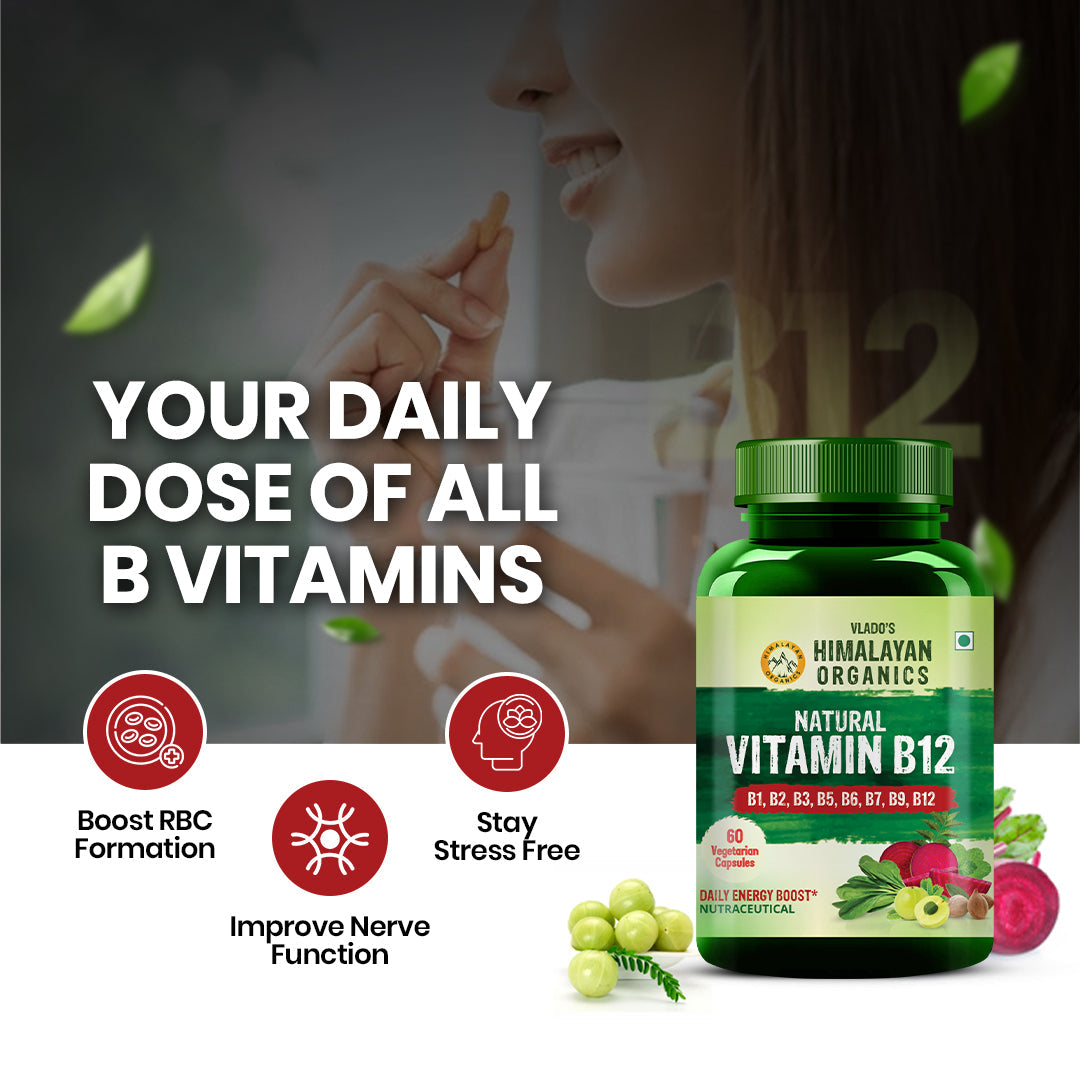 Vlado's Himalayan Organics Natural Vitamin B12 with B-Complex & Moringa | Plant-Based Formula | 60 Vegetarian Capsules