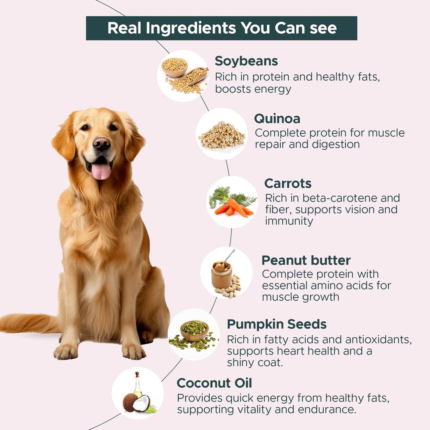 FURRMATE Fresh Wet Dog Food (300g) | 100% Vegetarian & High in Protein | NO-Chick'n Feast
