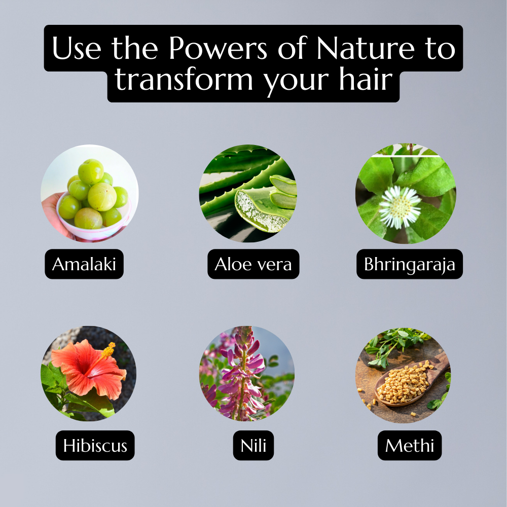 Atrimed Denz & Darc Herbal Therapeutic Shampoo | Pack of 1 | 200ml