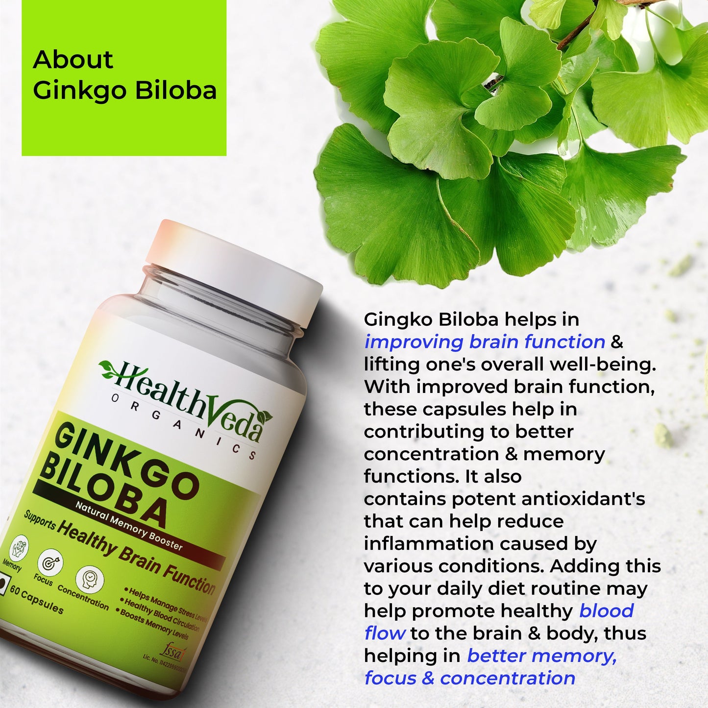 Health Veda Organics Ginkgo Biloba 120 mg | 60 Veg Capsules | Supports Better Concentration And Memory | For both Men & Women