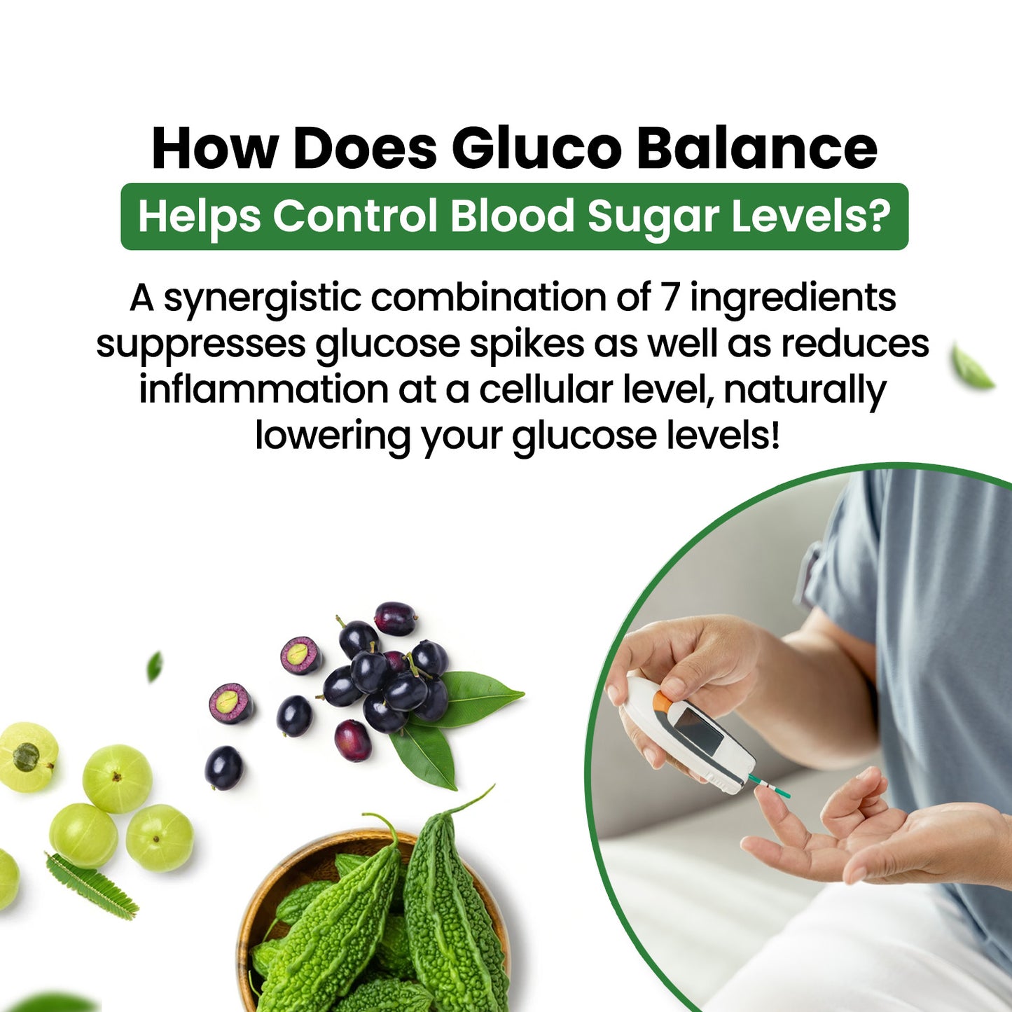Vlado's Himalayan Organics Plant Based Gluco Balance Insulin Resistance, Diabetes Control | Jamun, Bittermelon, Amla, Gudmar, Chirayta Extracts | 60 Veg Tablets