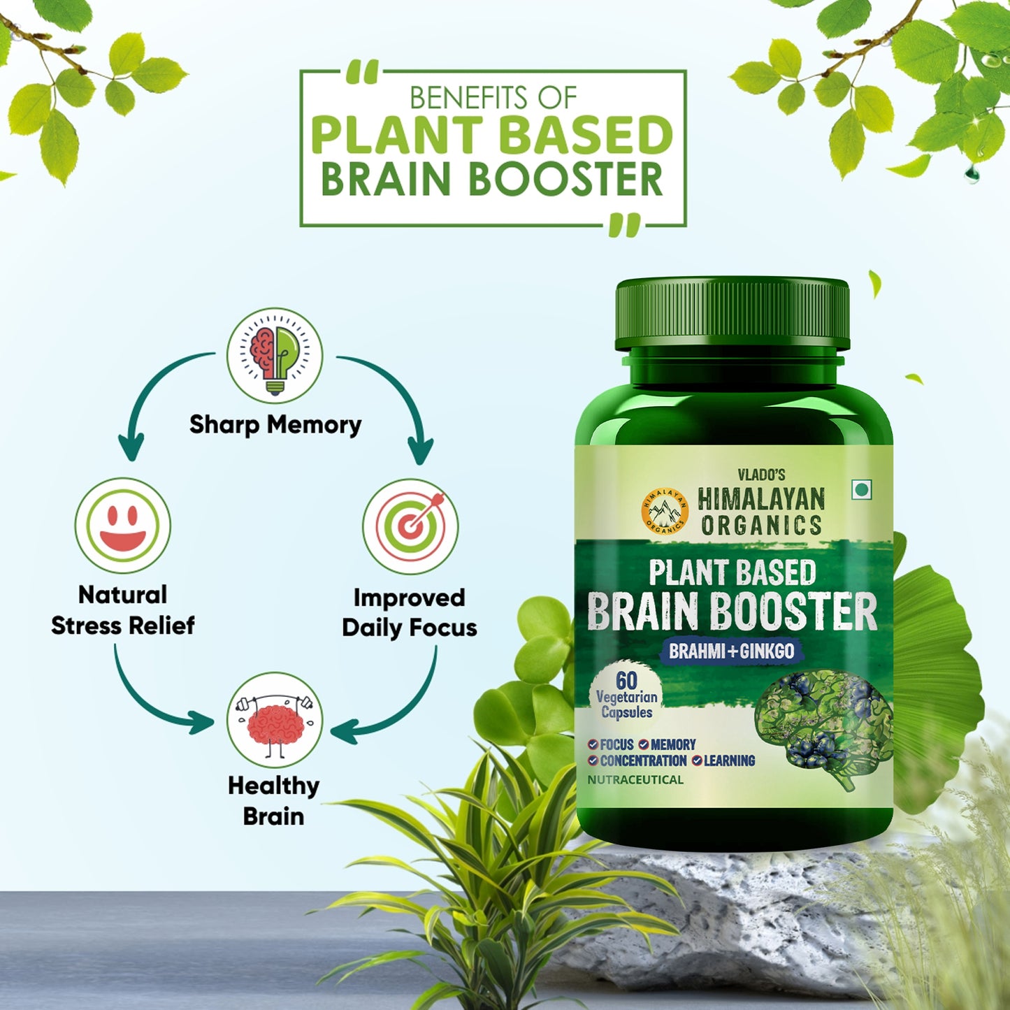 Vlado's Himalayan Organics Plant Based Brain Booster Supplement with Ginkgo Biloba & Brahmi | Boost concentration & Memory | 60 Veg Capsules