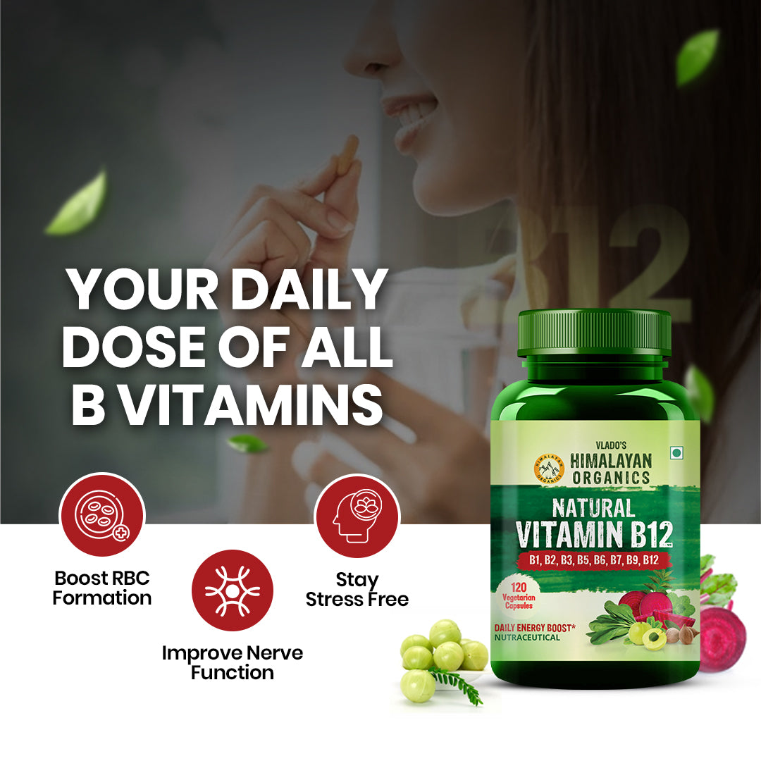 Vlado's Himalayan Organics Natural Vitamin B12 with B1, B2, B3, B5, B6, B7, B9 & Moringa | Plant-Based Formula | 120 Vegetarian Capsules