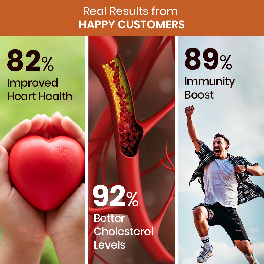 Vlado’s Himalayan Organics Garlic 500mg Supplement | Extract (1:13) Allium Sativum - 60 Veg Capsules