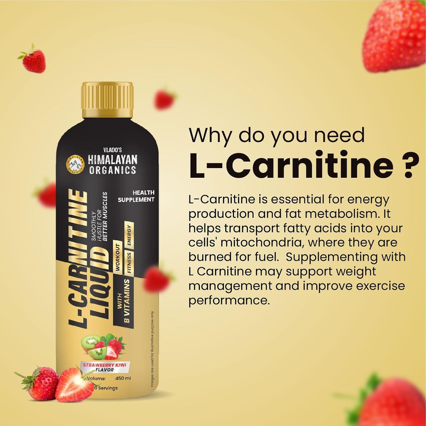 Vlado's Himalayan Organics L-Carnitine Liquid 3000 mg with Vitamin B3, B5, B6 | Pre, Intra & Post Workout Supplement | 5X Strength | Double Strength Formula | For Men & Women | 30 Servings | Strawberry Flavor - 450 ML