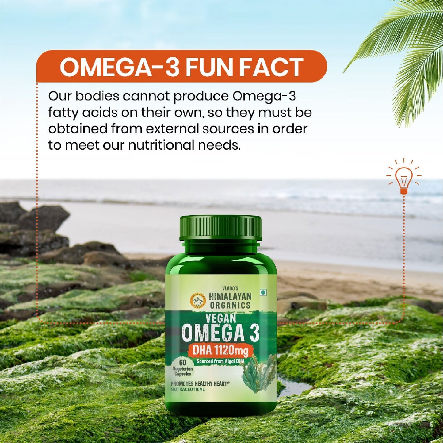 Vlado's Himalayan Organics Vegan Omega 3 – 1120 MG | 3X Strength | With Veg DHA & Algal Oil | Plant-Based Omega 3 | No Fish Oil | 60 Veg Capsules for Men & Women