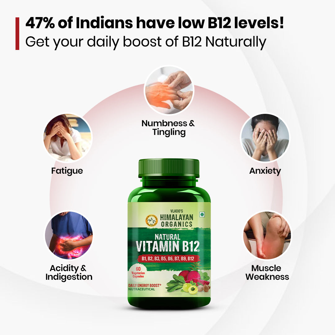 Vlado's Himalayan Organics Natural Vitamin B12 with B-Complex & Moringa | Plant-Based Formula | 60 Vegetarian Capsules