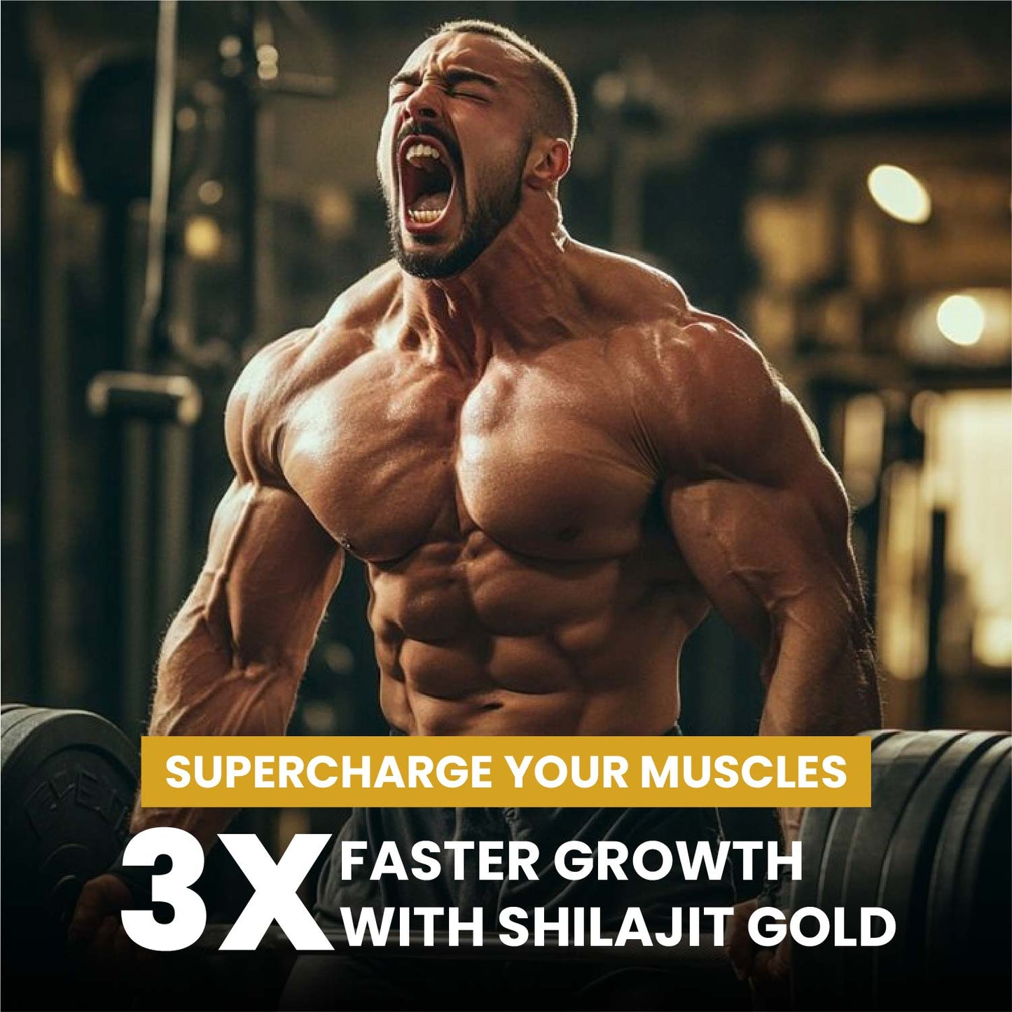 Vlado’s Himalayan Organics Shilajit Gold Resin with 24K Gold | Ayurvedic | 25g