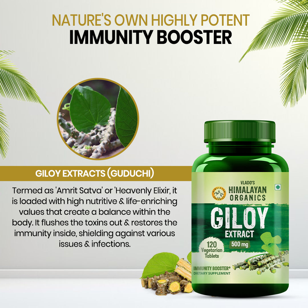 Vlado's Himalayan Organics Giloy Extract | 120 Veg Tablets