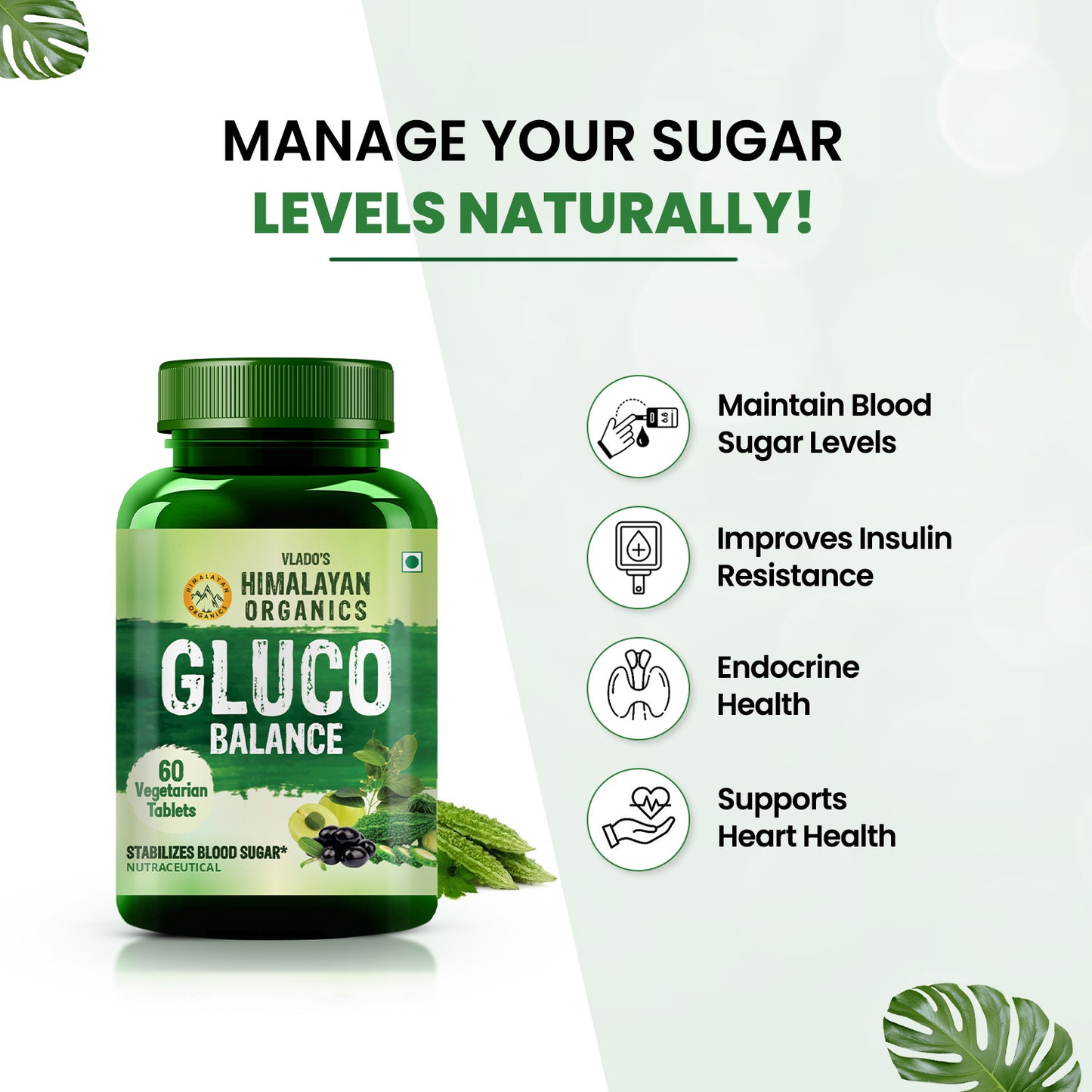 Vlado's Himalayan Organics Plant Based Gluco Balance Insulin Resistance, Diabetes Control | Jamun, Bittermelon, Amla, Gudmar, Chirayta Extracts | 60 Veg Tablets