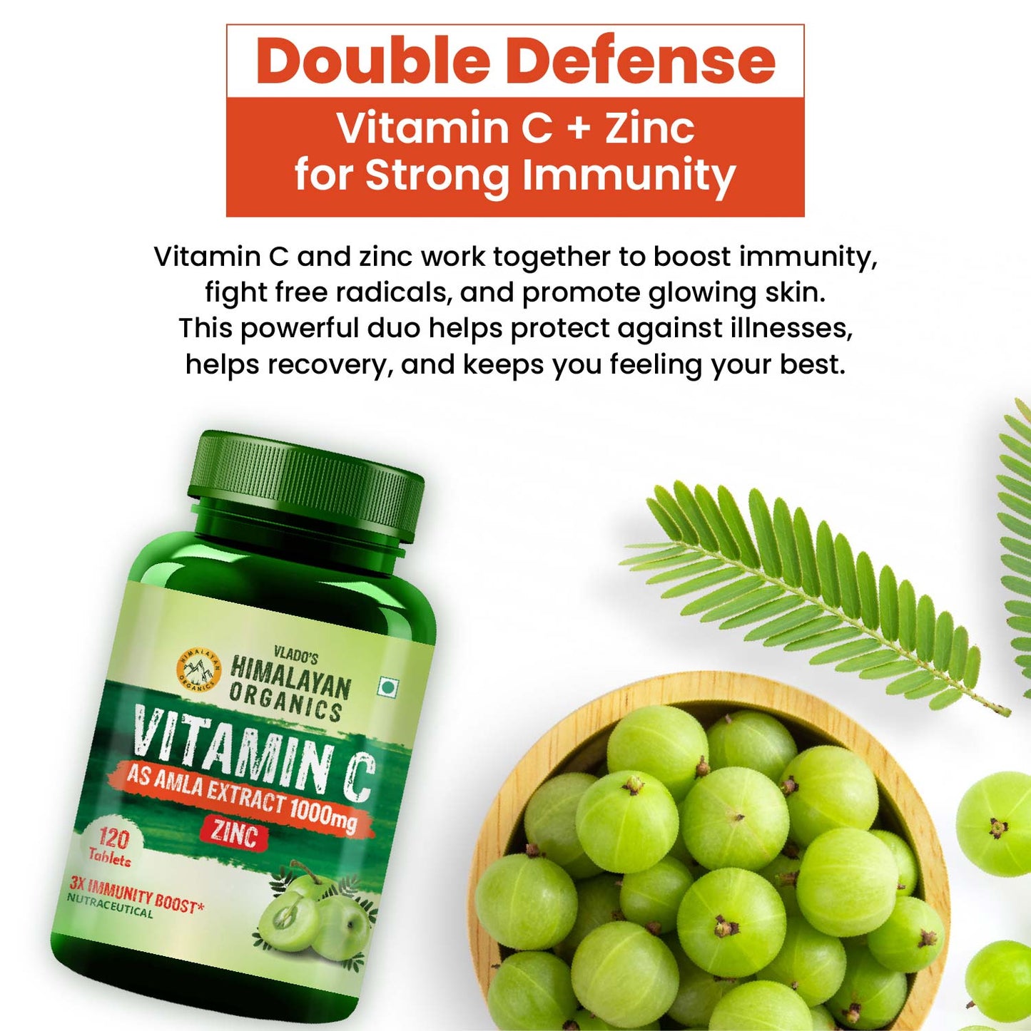 Vlado's Himalayan Organics Vitamin C Supplement with Amla Extract | Plant-Based Formula | 120 Veg Tablets