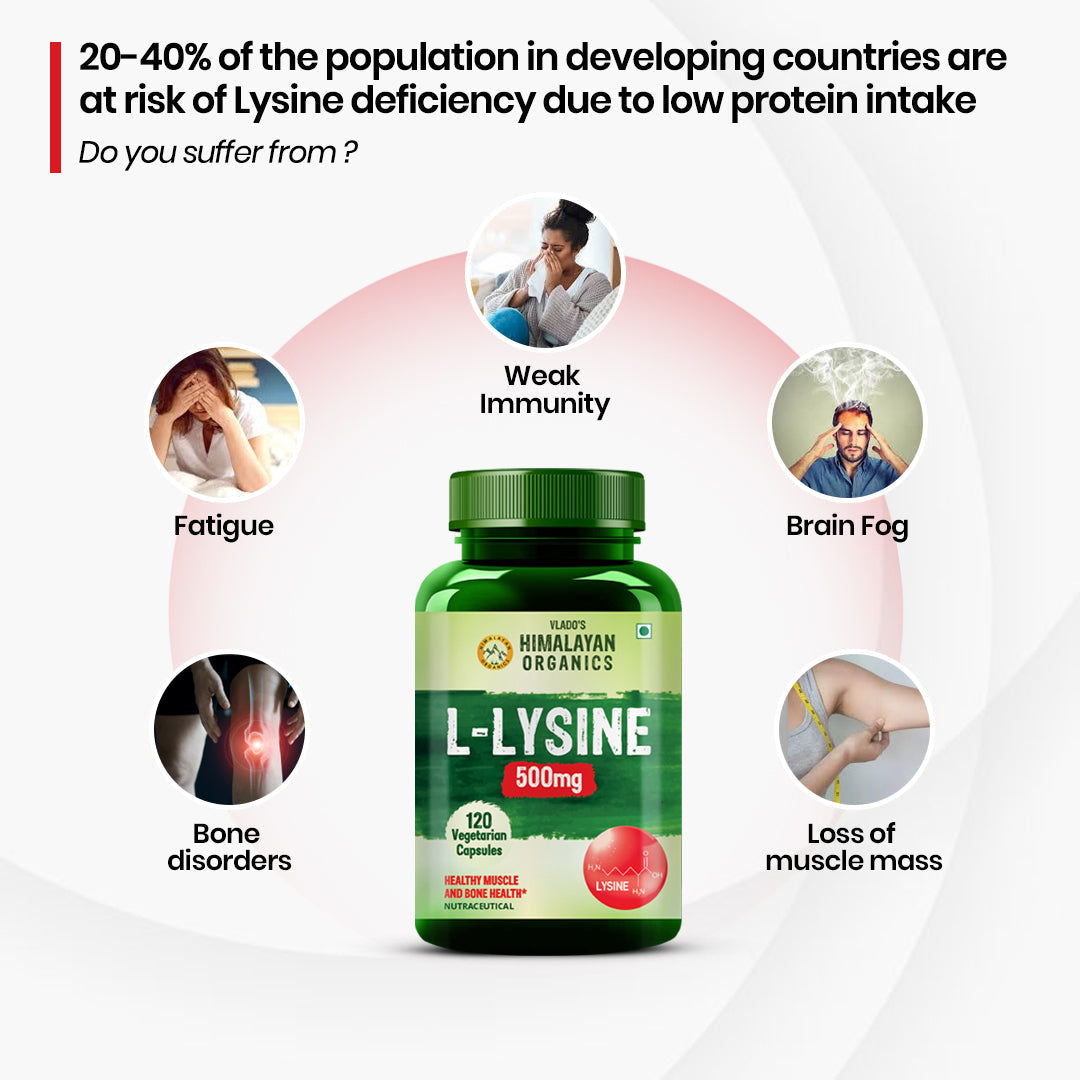 Vlado’s Himalayan Organics L-Lysine 500mg Essential Amino Acid | 120 Veg Capsules