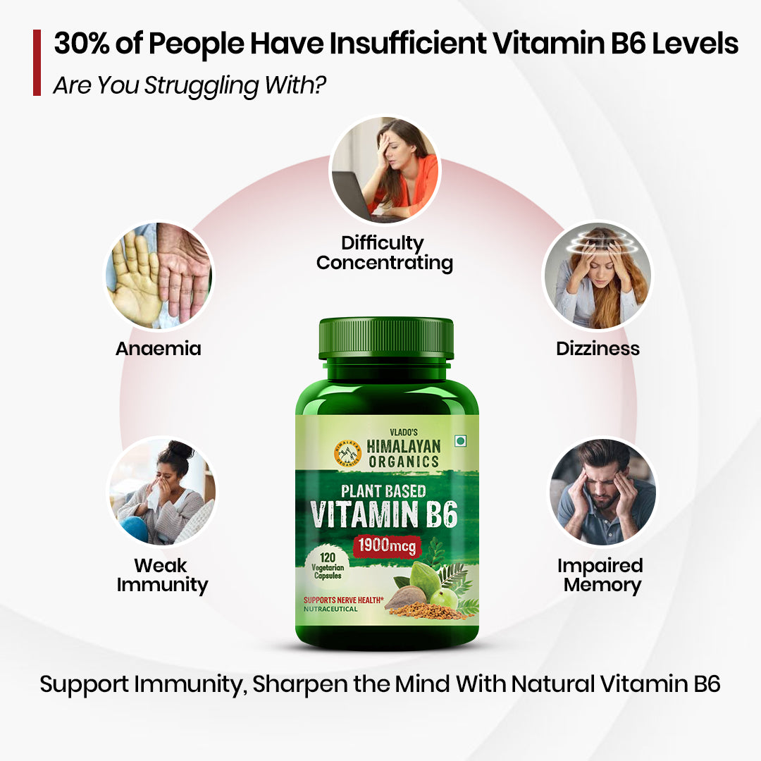 Vlado's Himalayan Organics Plant-Based Vitamin B6 120 Capsules