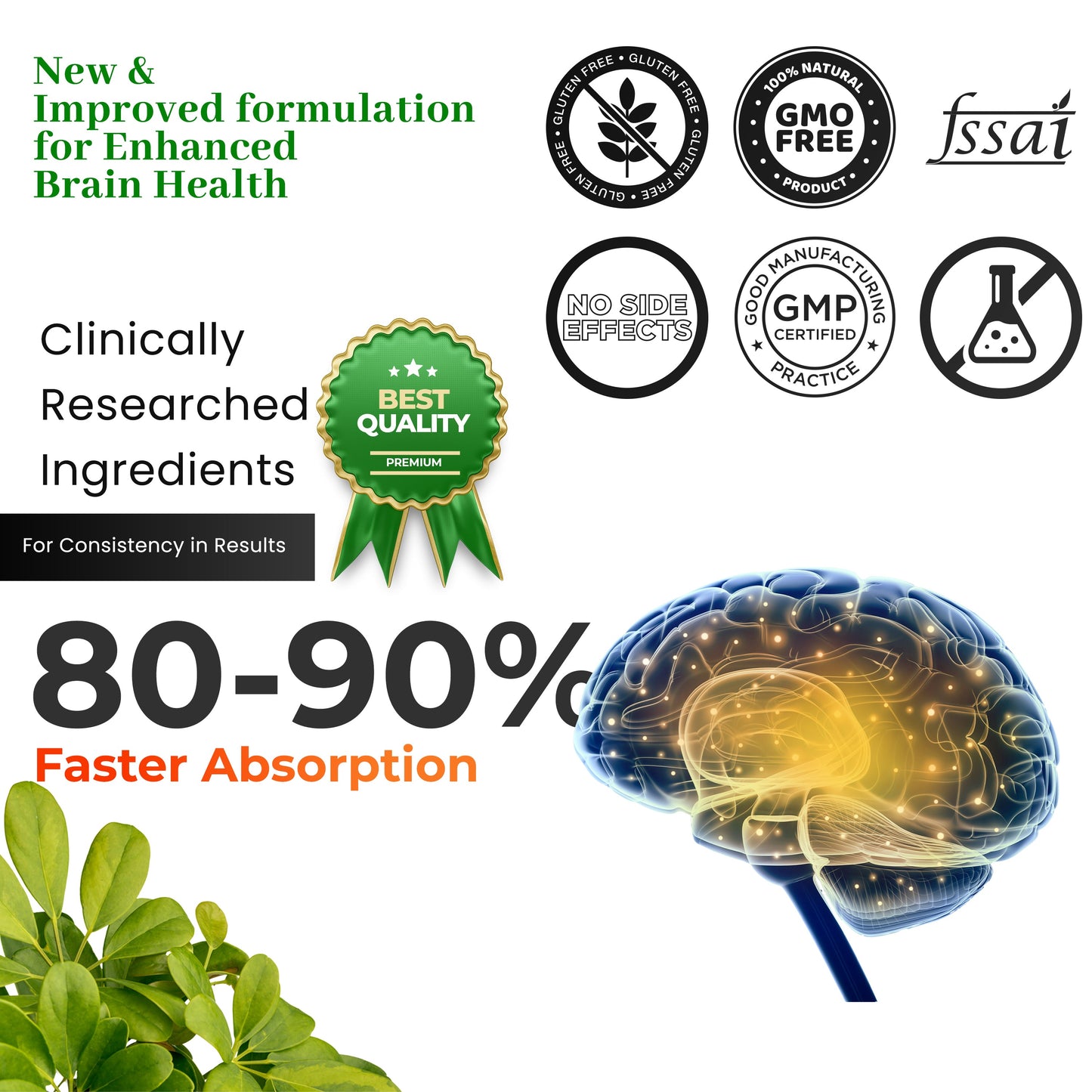 Health Veda Organics Ginkgo Biloba 120 mg | 60 Veg Capsules | Supports Better Concentration And Memory | For both Men & Women