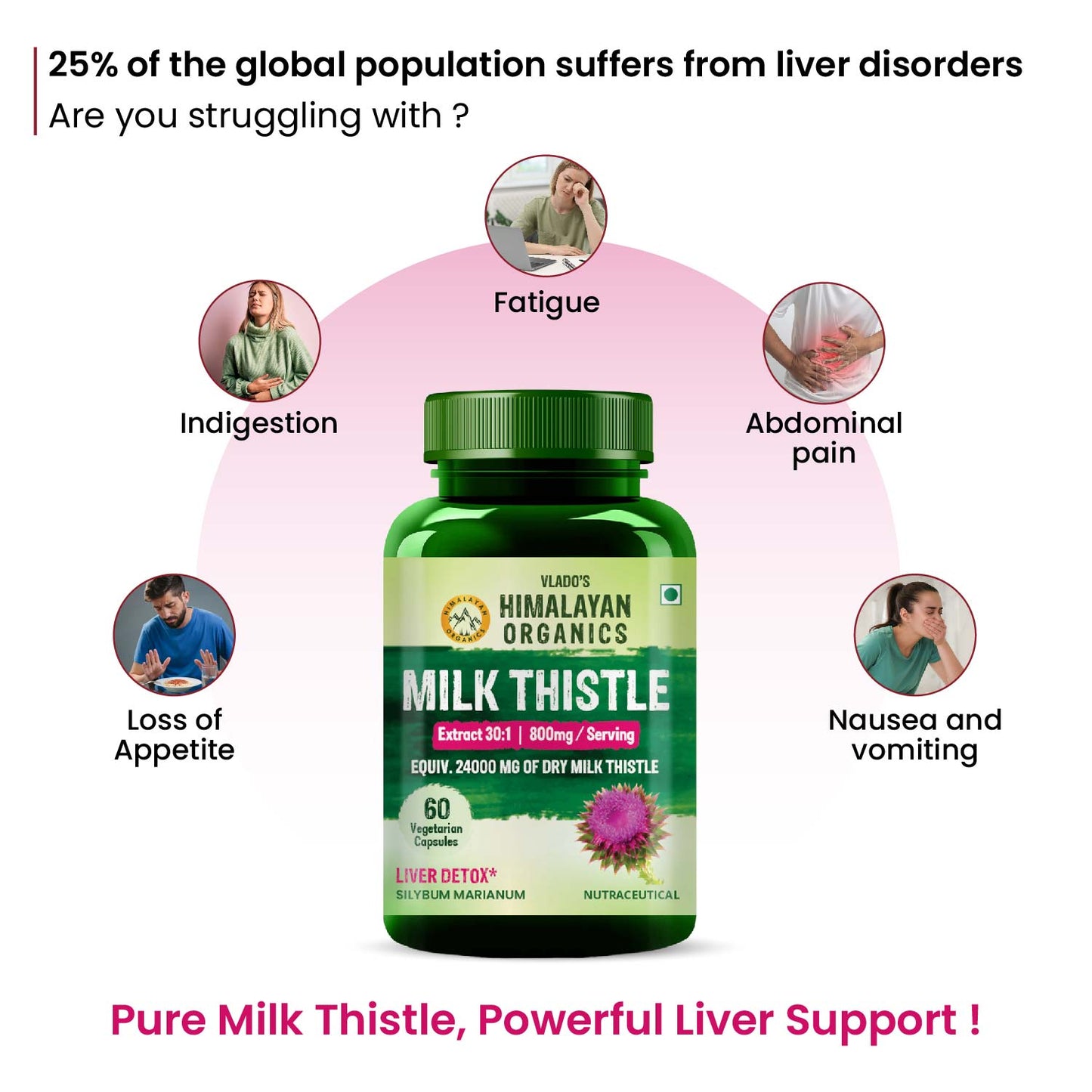 Vlado's Himalayan Organics Milk Thistle Extract Supplement for Men and Women | With 800mg Silybum Marianum | 60 Vegetarian Capsules