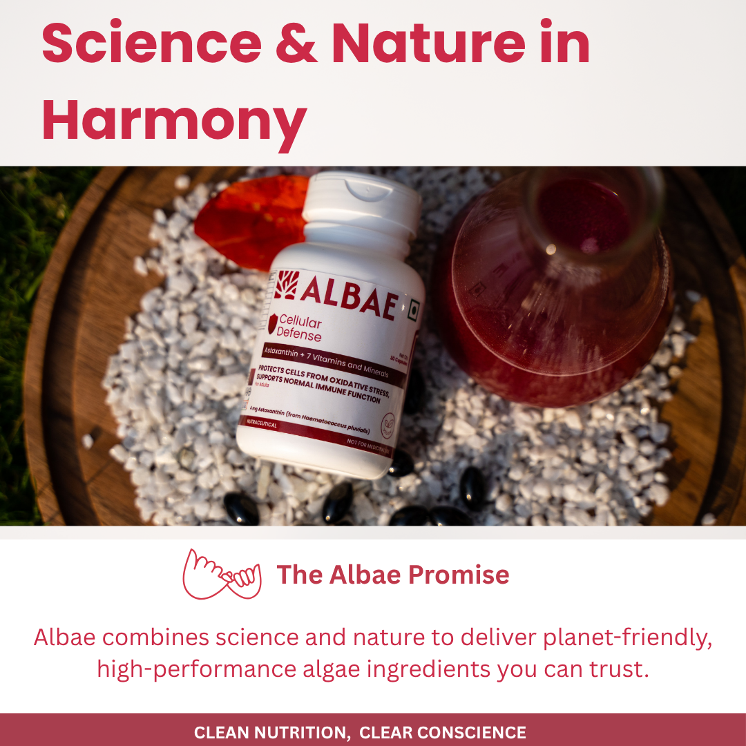 Albae Cellular Defense | 4mg AstaReal Natural Astaxanthin with 7 Essential Vitamins & Minerals | Advanced Antioxidant for Immune Support & UV/Pollution Protection | 30 Plant Based Liquid Softgels