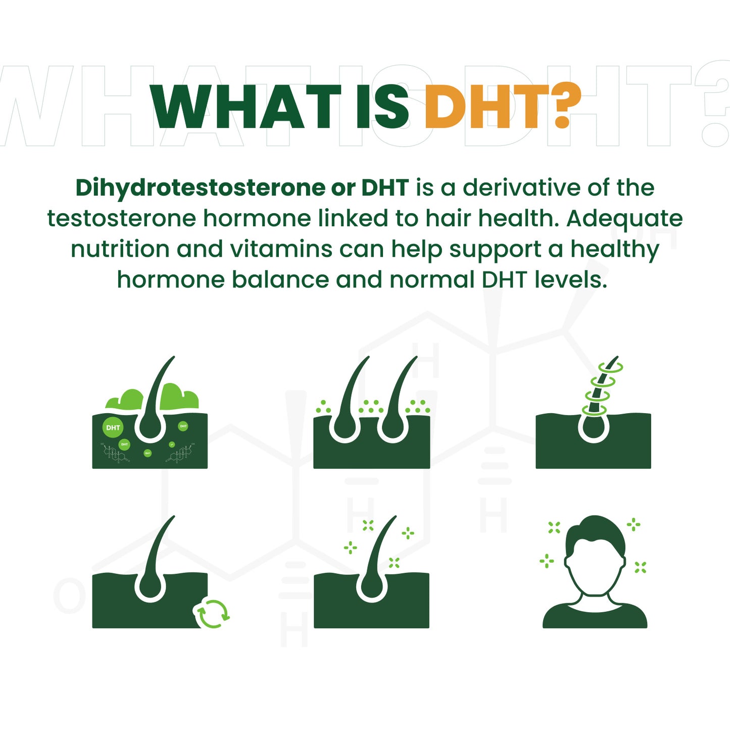 Vlado's Himalayan Organics Plant Based DHT Blocker | Nettle Extract | 60 Veg Capsules