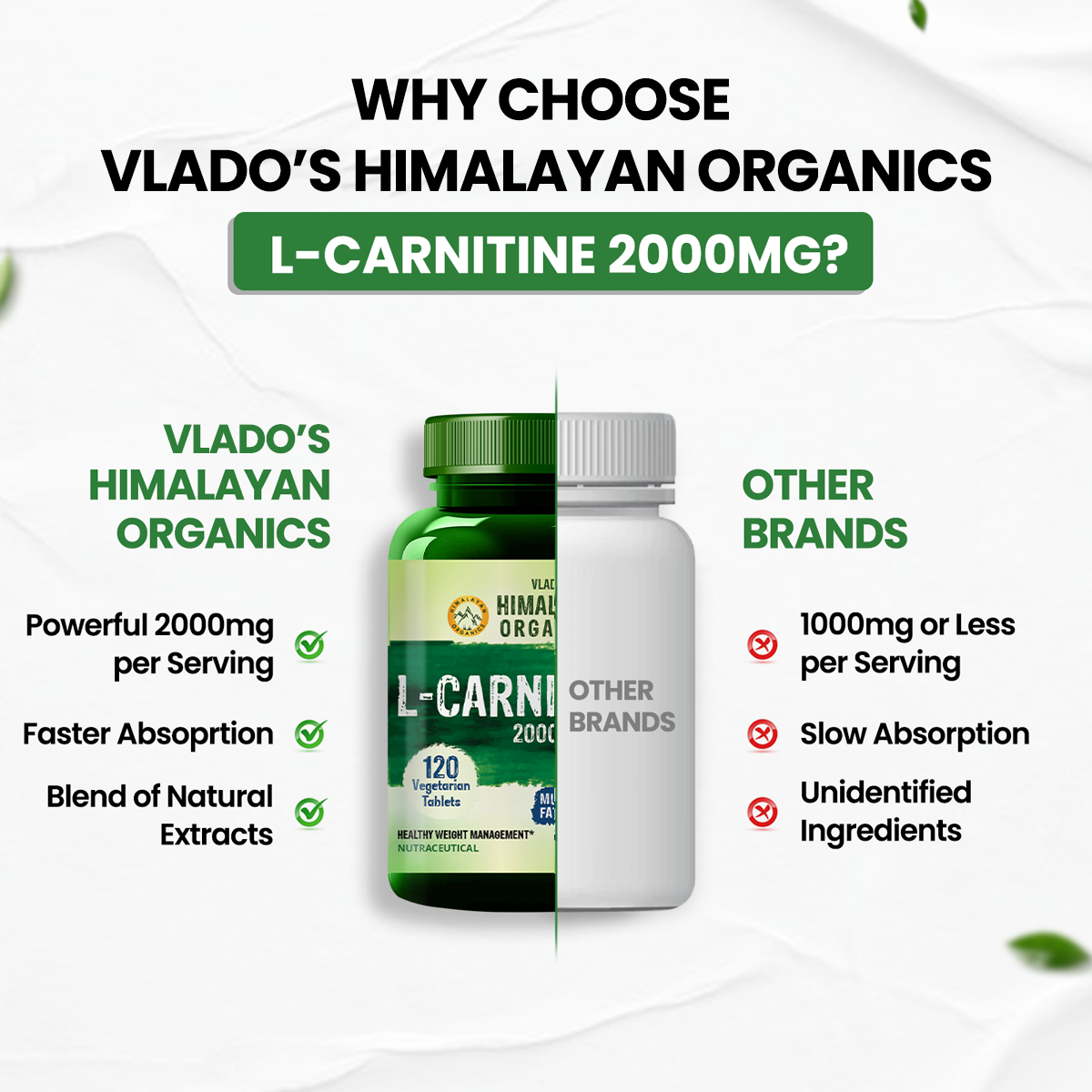 Vlado's Himalayan Organics L Carnitine 2000mg/Serve | 120 Veg Tablets
