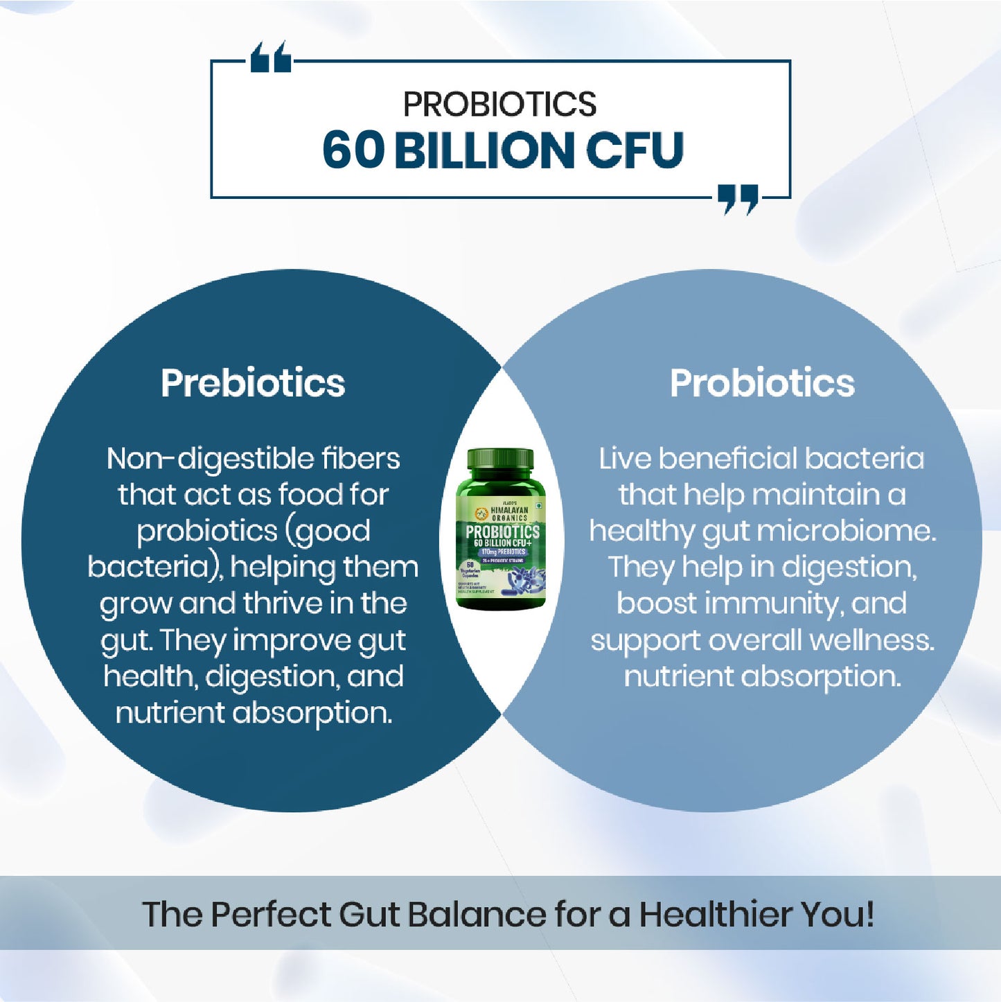 Vlado’s Himalayan Organics Probiotics Supplement 60 Billion CFU with 170mg Prebiotics & 24 Strains | Plant-Based Formula | 60 Veg Capsules