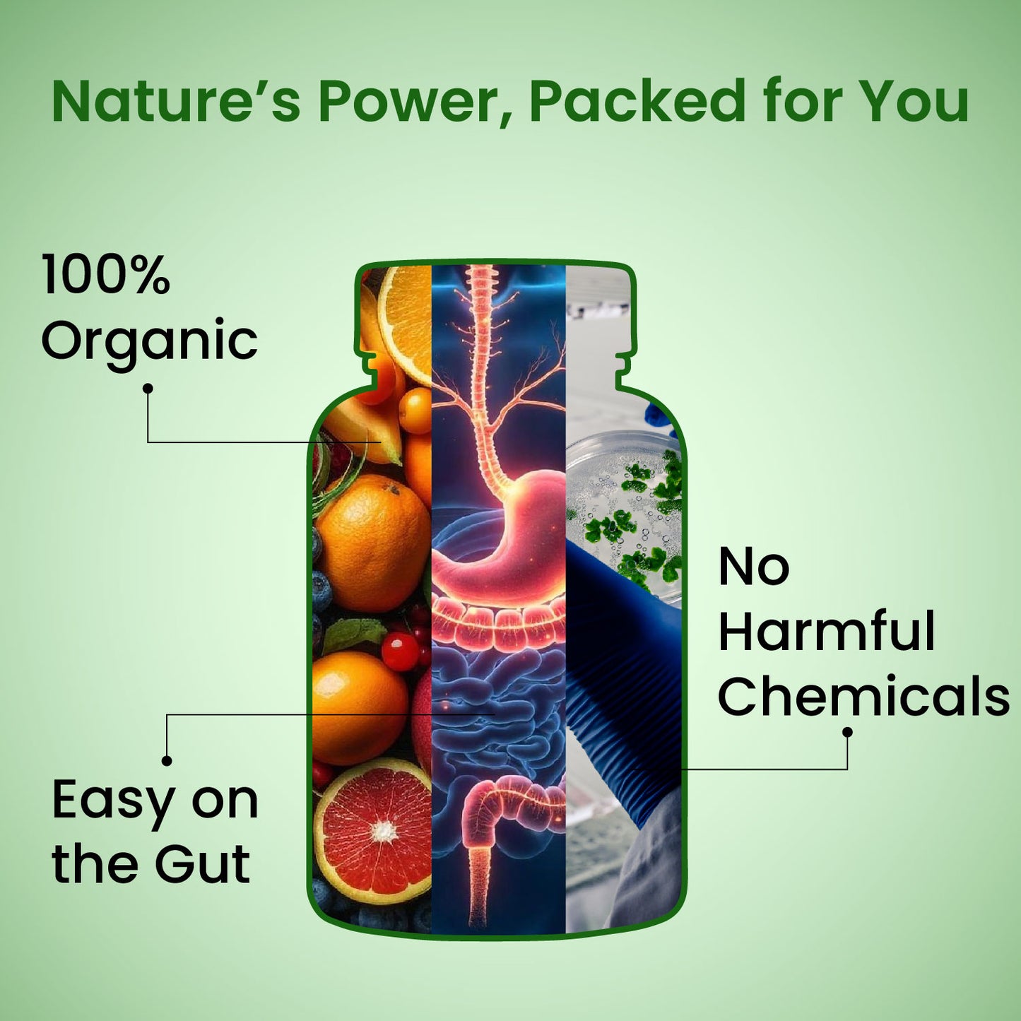 Vlado's Himalayan Organics Organic Multivitamins with Iron, Zinc, Vitamin B3 & C | With Ashwagandha, Tribulus & Turmeric | 100% Organic, Non-Synthetic | 60 Veg Tablets